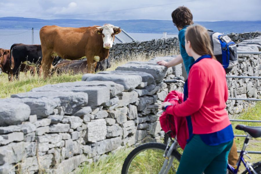 8-Daagse fietsrondreis Connemara, Galway & Mayo