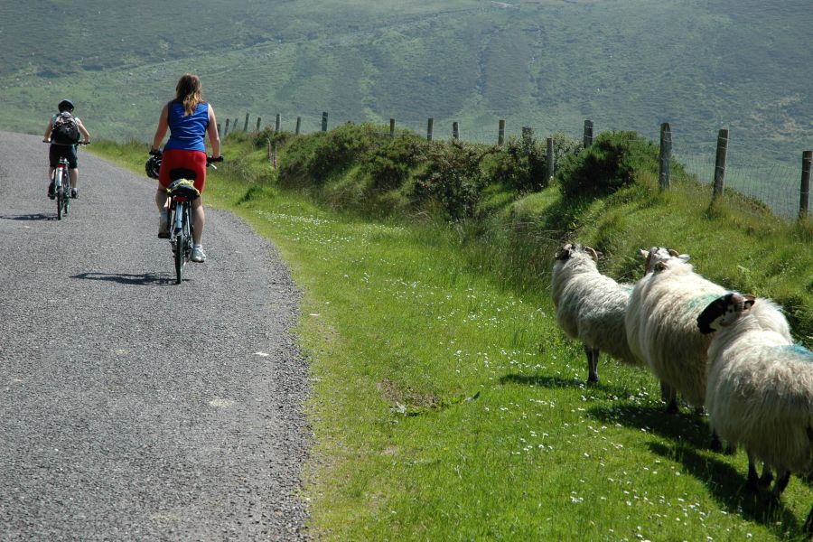 8-Daagse fietsrondreis West Cork & Kerry